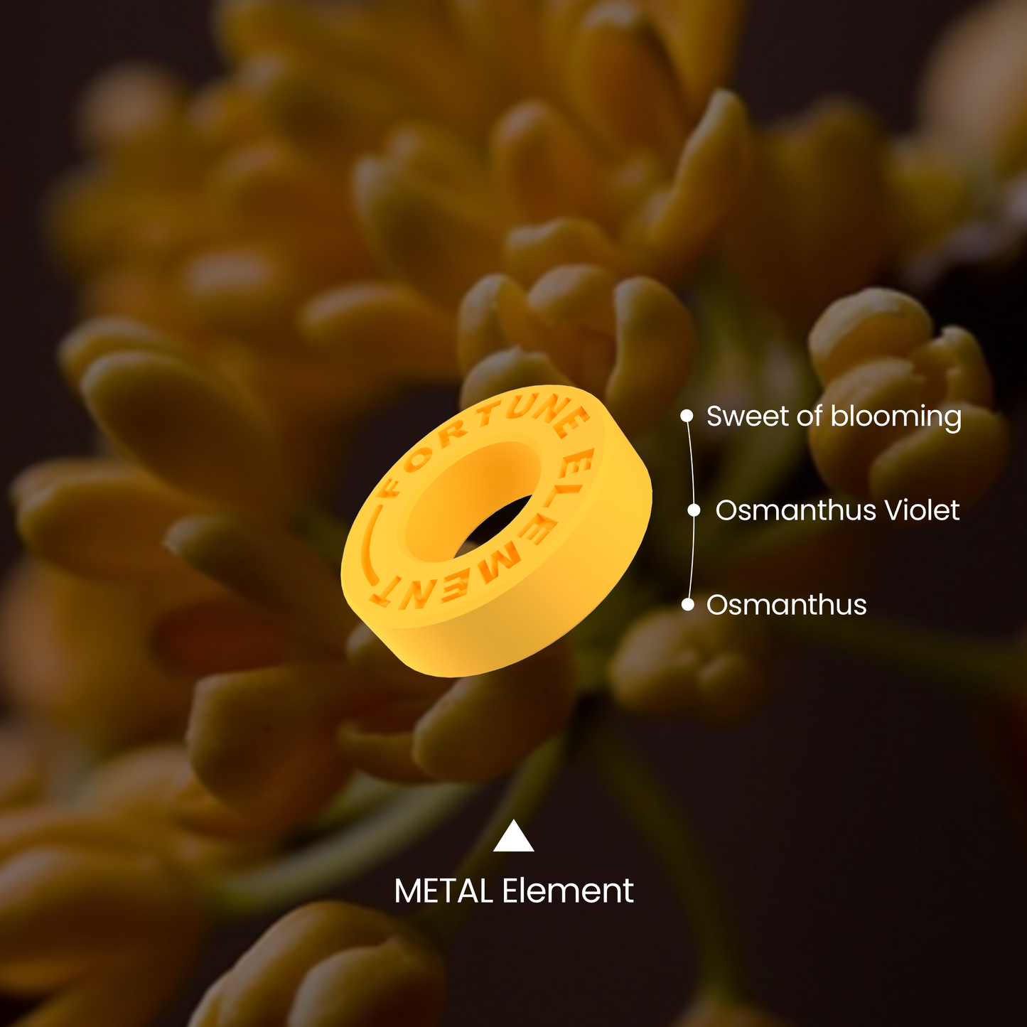 A diagram illustrating the top, middle, and base notes of the scent, providing users with an overview of its fragrance layers and what it will smell like.