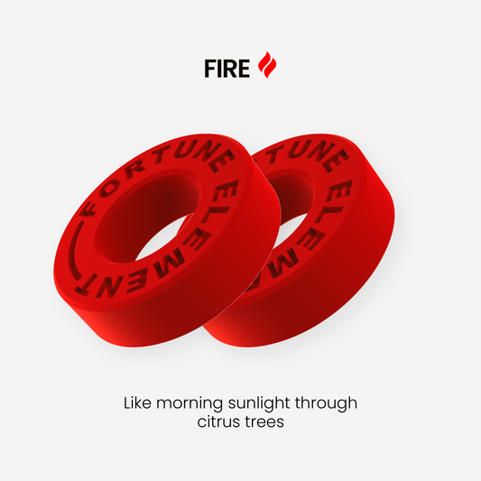 2-Pack Scent Refills (FIRE)