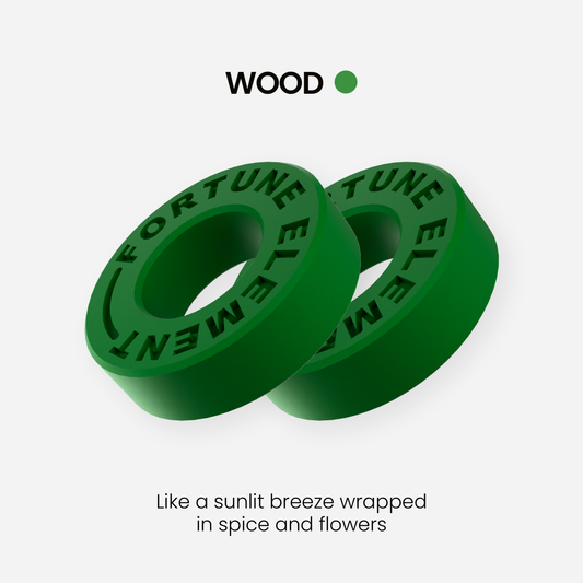 2-Pack Scent Refills (WOOD)