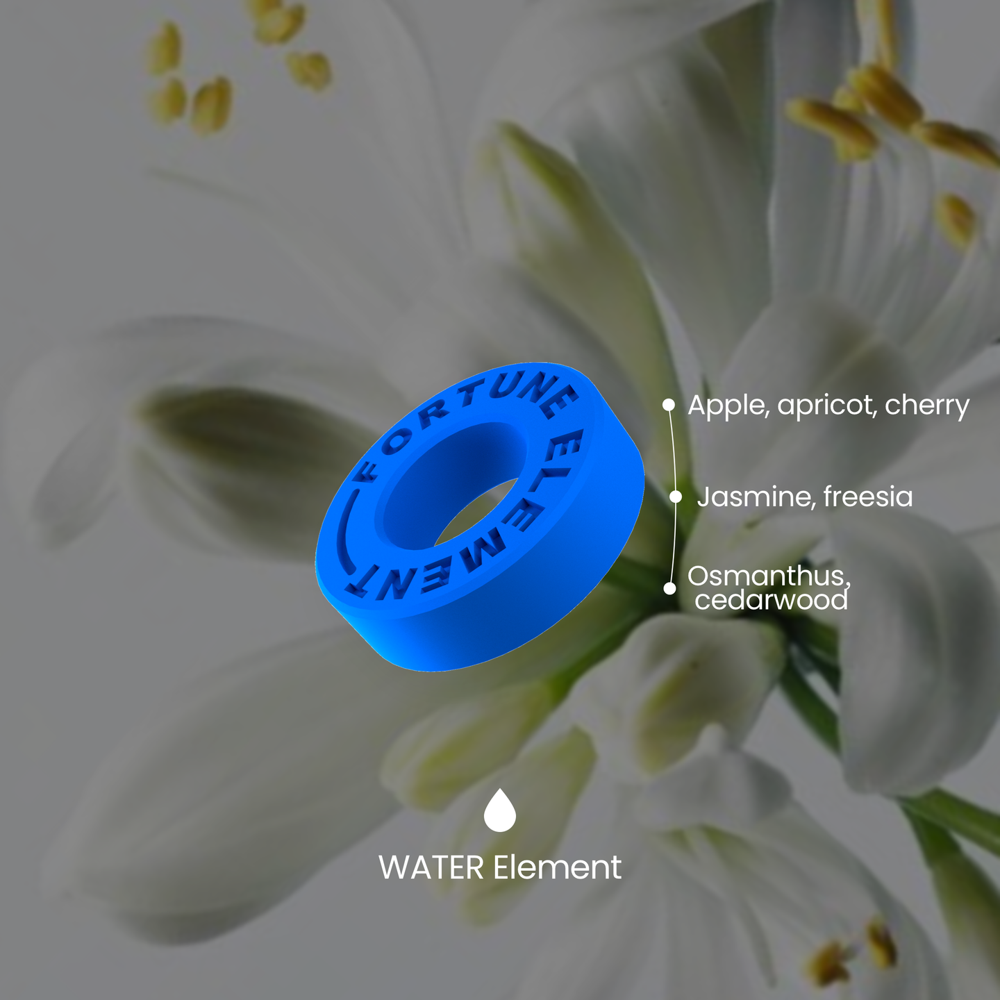 A diagram illustrating the top, middle, and base notes of the scent, providing users with an overview of its fragrance layers and what it will smell like.